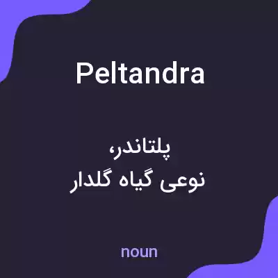 معنی peltandra به فارسی معنی peltandra به فارسی