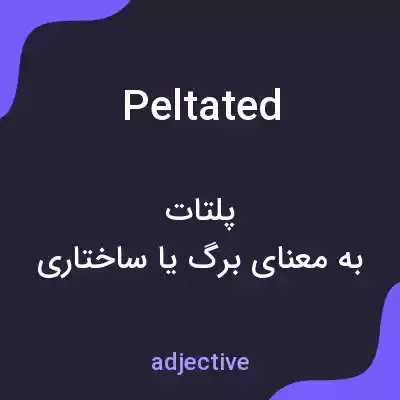 معنی peltated به فارسی معنی peltated به فارسی
