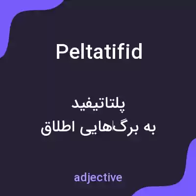 معنی peltatifid به فارسی معنی peltatifid به فارسی