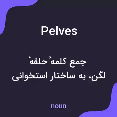 معنی pelves به فارسی معنی pelves به فارسی