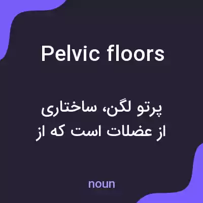 معنی pelvic floors به فارسی معنی pelvic floors به فارسی