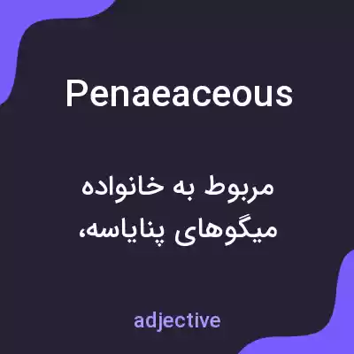 معنی penaeaceous به فارسی معنی penaeaceous به فارسی