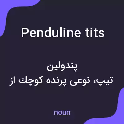 معنی penduline tits به فارسی معنی penduline tits به فارسی