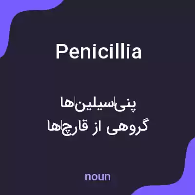 معنی penicillia به فارسی