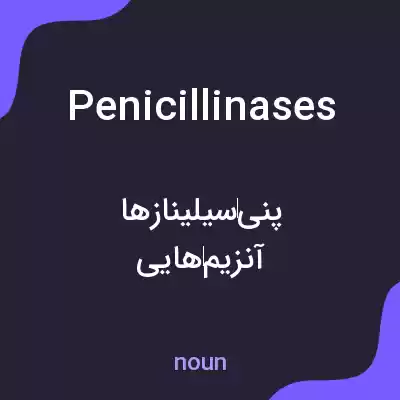 معنی penicillinases به فارسی