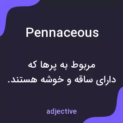 معنی pennaceous به فارسی معنی pennaceous به فارسی