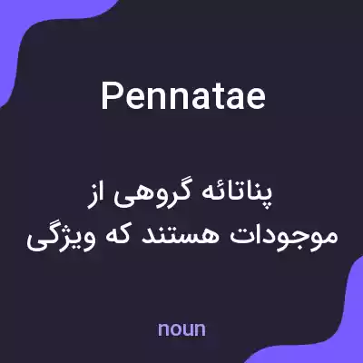 معنی pennatae به فارسی معنی pennatae به فارسی