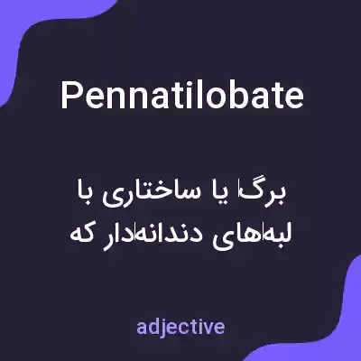 معنی pennatilobate به فارسی معنی pennatilobate به فارسی