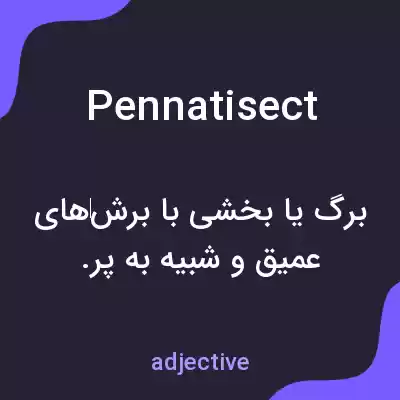 معنی pennatisect به فارسی معنی pennatisect به فارسی