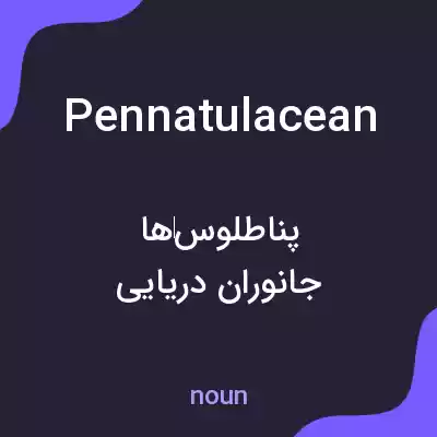 معنی pennatulacean به فارسی معنی pennatulacean به فارسی