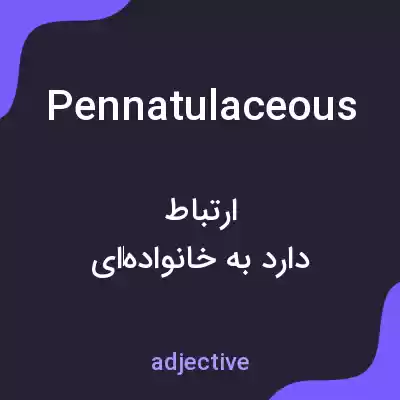 معنی pennatulaceous به فارسی معنی pennatulaceous به فارسی