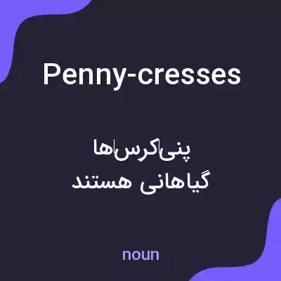 معنی penny-cresses به فارسی معنی penny-cresses به فارسی