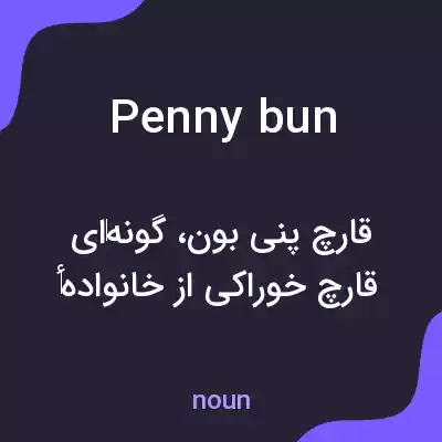 معنی penny bun به فارسی معنی penny bun به فارسی