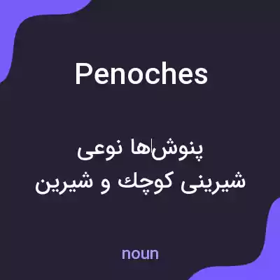 معنی penoches به فارسی معنی penoches به فارسی