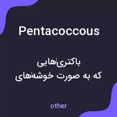 معنی pentacoccous به فارسی معنی pentacoccous به فارسی