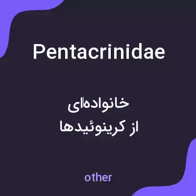 معنی pentacrinidae به فارسی معنی pentacrinidae به فارسی