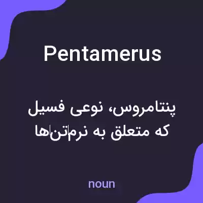 معنی pentamerus به فارسی معنی pentamerus به فارسی