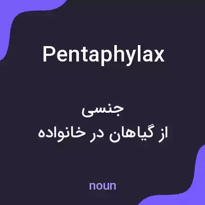 معنی pentaphylax به فارسی