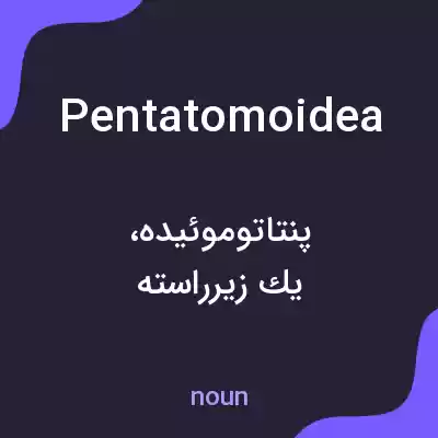 معنی pentatomoidea به فارسی معنی pentatomoidea به فارسی