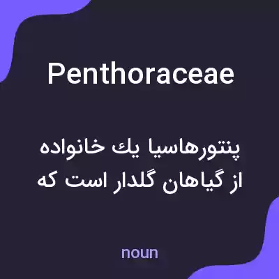 معنی penthoraceae به فارسی معنی penthoraceae به فارسی