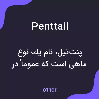 معنی penttail به فارسی معنی penttail به فارسی