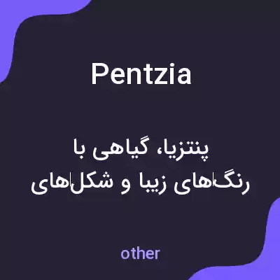 معنی pentzia به فارسی معنی pentzia به فارسی