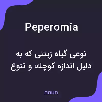 معنی peperomia به فارسی معنی peperomia به فارسی