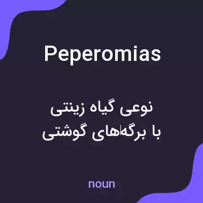 معنی peperomias به فارسی معنی peperomias به فارسی