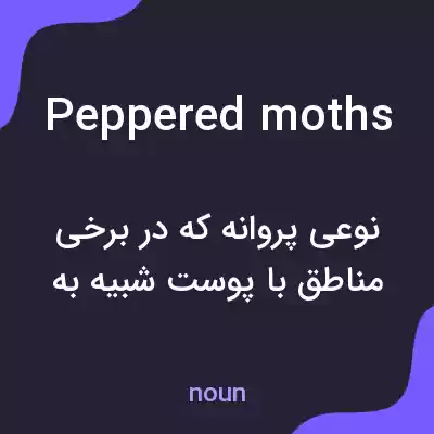 معنی peppered moths به فارسی معنی peppered moths به فارسی