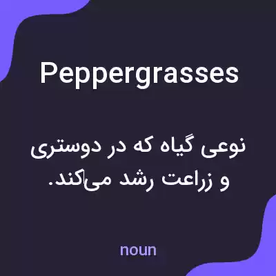 معنی peppergrasses به فارسی معنی peppergrasses به فارسی
