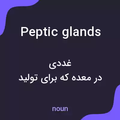 معنی peptic glands به فارسی معنی peptic glands به فارسی