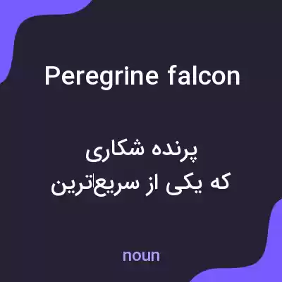معنی peregrine falcon به فارسی معنی peregrine falcon به فارسی