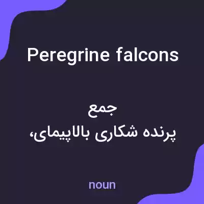 معنی peregrine falcons به فارسی معنی peregrine falcons به فارسی