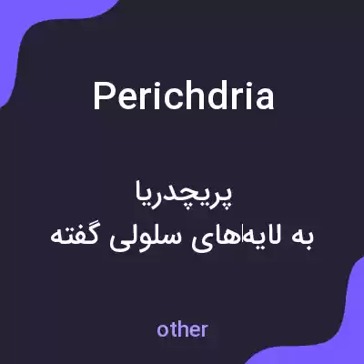 معنی perichdria به فارسی معنی perichdria به فارسی