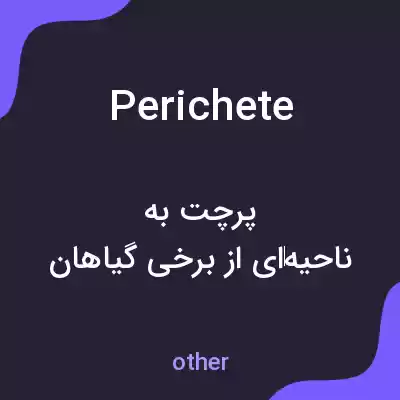 معنی perichete به فارسی معنی perichete به فارسی