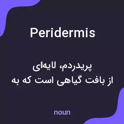 معنی peridermis به فارسی معنی peridermis به فارسی