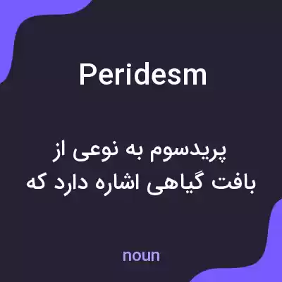 معنی peridesm به فارسی معنی peridesm به فارسی