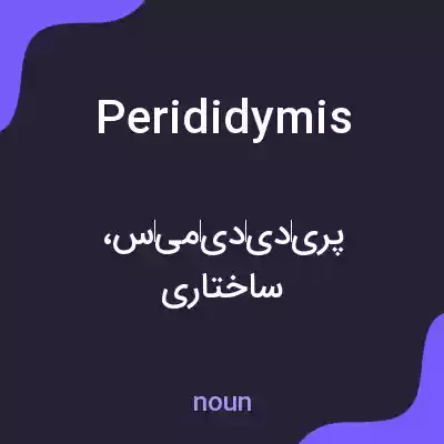 معنی perididymis به فارسی معنی perididymis به فارسی