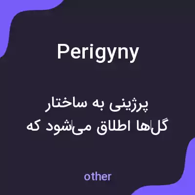 معنی perigyny به فارسی معنی perigyny به فارسی