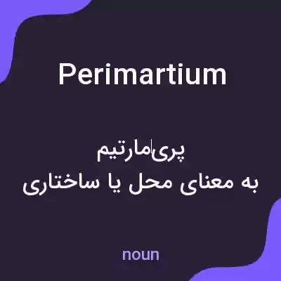 معنی perimartium به فارسی