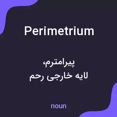 معنی perimetrium به فارسی معنی perimetrium به فارسی
