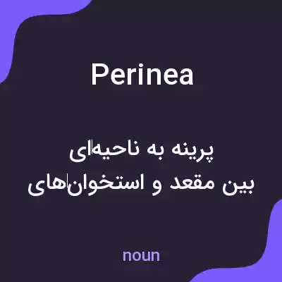 معنی perinea به فارسی معنی perinea به فارسی