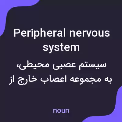 معنی peripheral nervous system به فارسی معنی peripheral nervous system به فارسی
