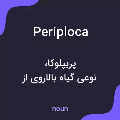 معنی periploca به فارسی معنی periploca به فارسی