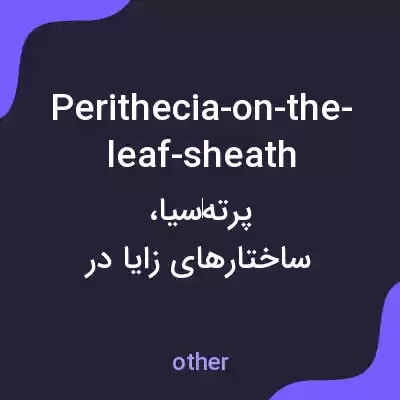 معنی perithecia-on-the-leaf-sheath به فارسی