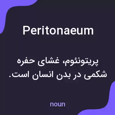 معنی peritonaeum به فارسی معنی peritonaeum به فارسی