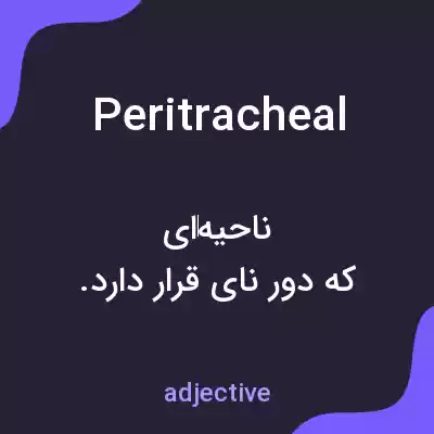 معنی peritracheal به فارسی معنی peritracheal به فارسی