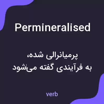 معنی permineralised به فارسی معنی permineralised به فارسی
