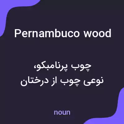 معنی pernambuco wood به فارسی معنی pernambuco wood به فارسی