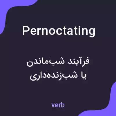 معنی pernoctating به فارسی معنی pernoctating به فارسی